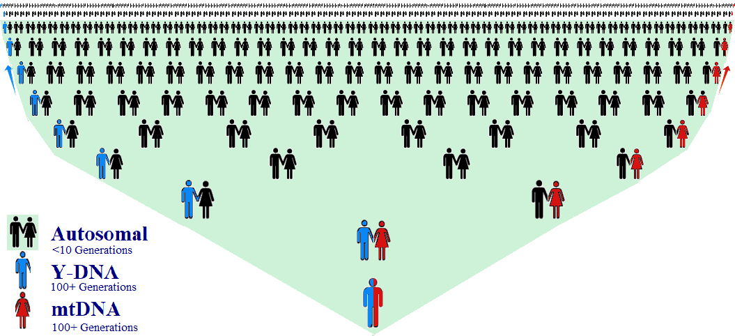 DNA Test Types